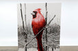 Bamboo Greeting Cards 16pt - Clubcard Printing Canada