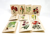 Botanical Greeting Cards - Clubcard Printing Canada