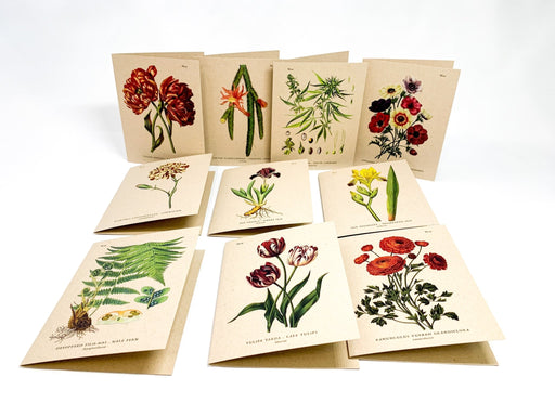 Botanical Greeting Cards - Clubcard Printing Canada