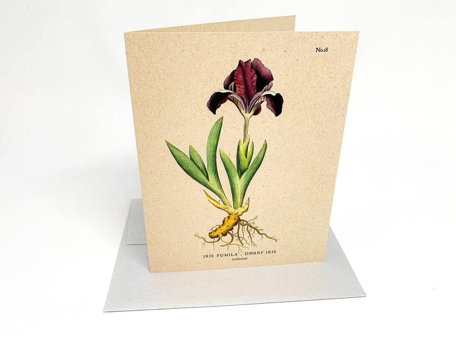 Botanical Greeting Cards - Clubcard Printing Canada