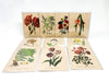 Botanical Greeting Cards - Clubcard Printing Canada