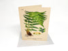 Botanical Greeting Cards - Clubcard Printing Canada