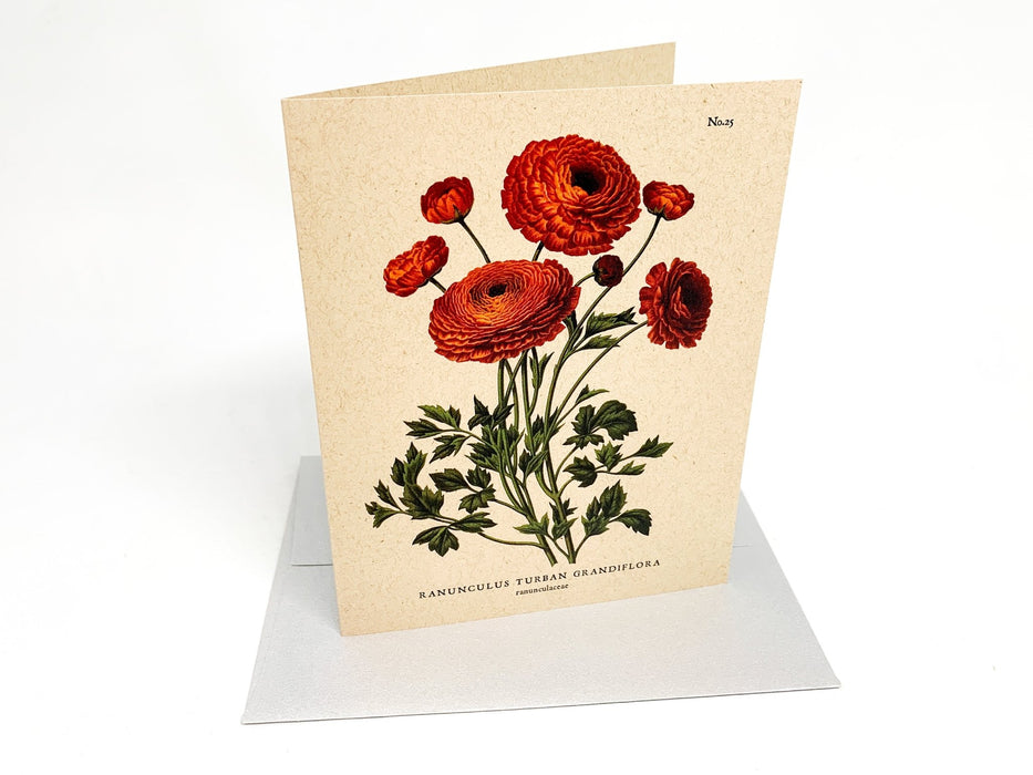 Botanical Greeting Cards - Clubcard Printing Canada