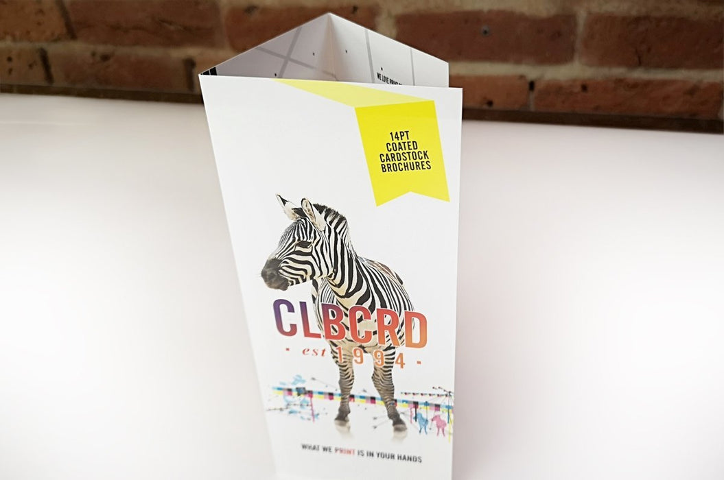 Coated Card Stock Brochures 14pt - Clubcard Printing Canada