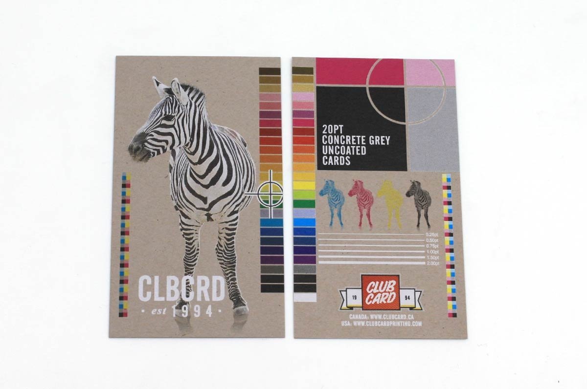 Concrete Grey Greeting Cards 20pt - Clubcard Printing Canada