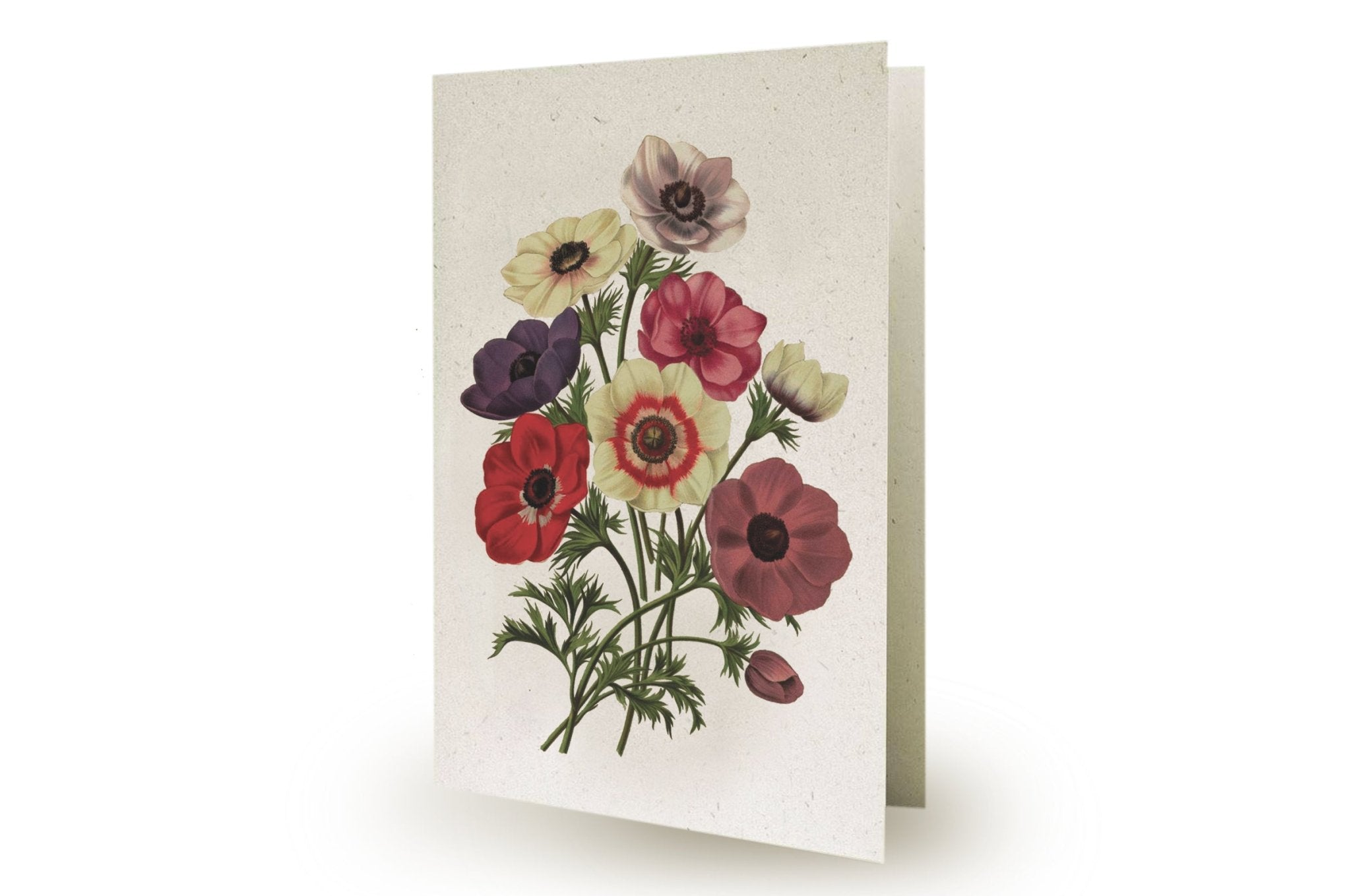 Hemp Greeting Cards 18pt - Clubcard Printing Canada